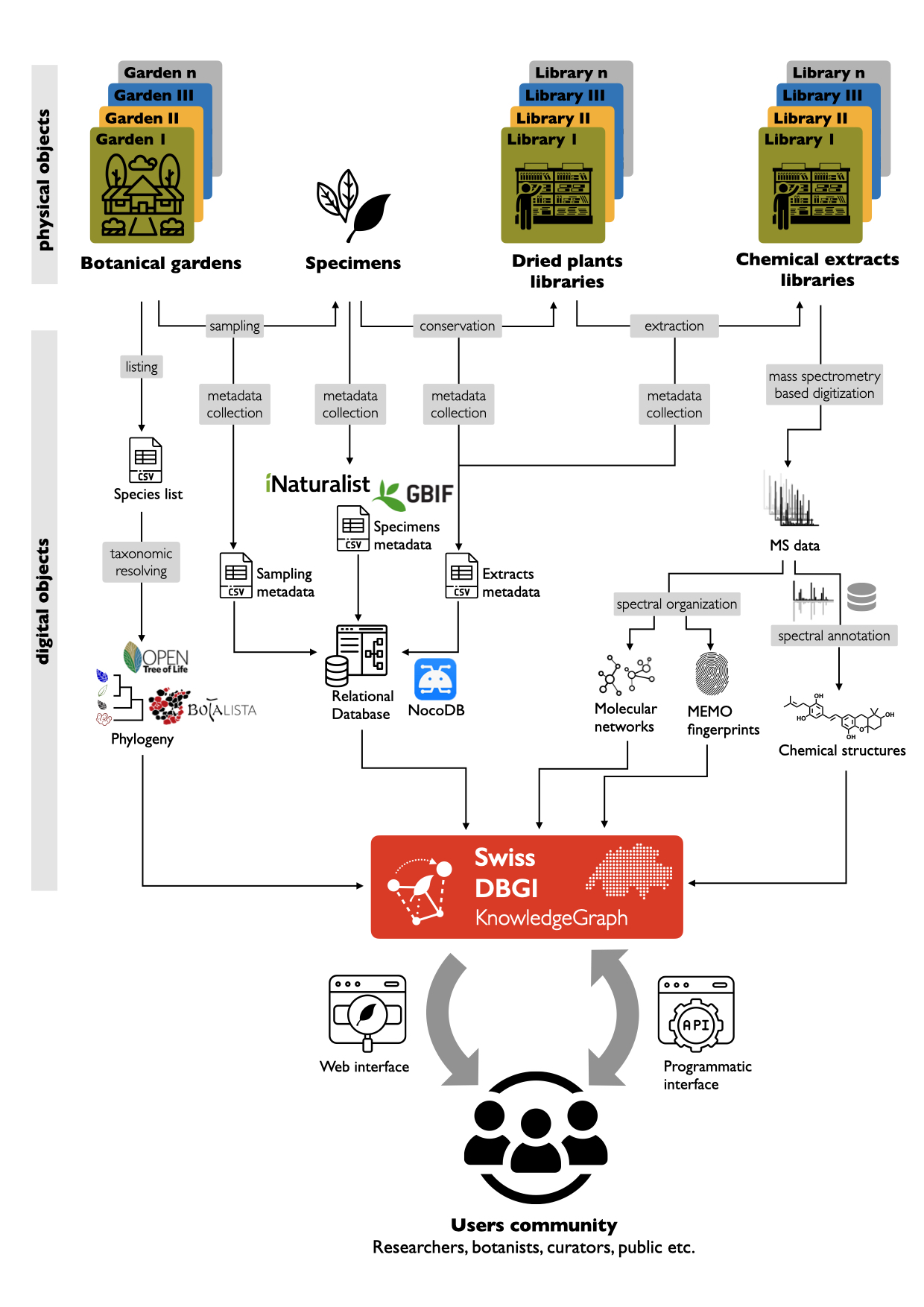 Figure 3. Overview of the DBGI main steps and data