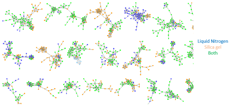 molecular comparison