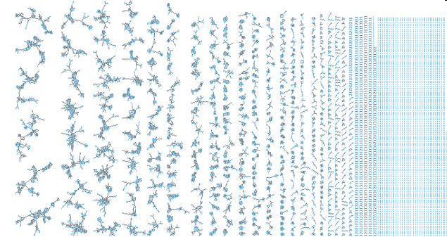 molecular network