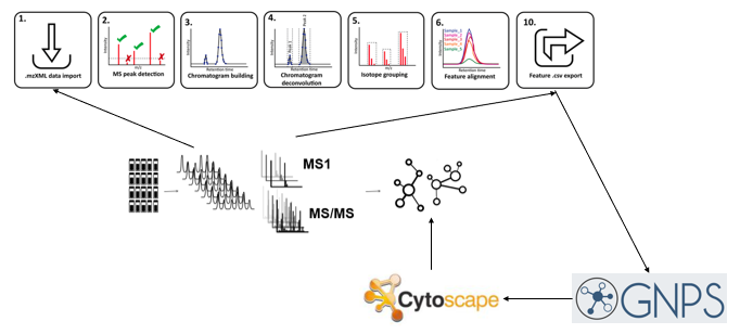 MS data treatment