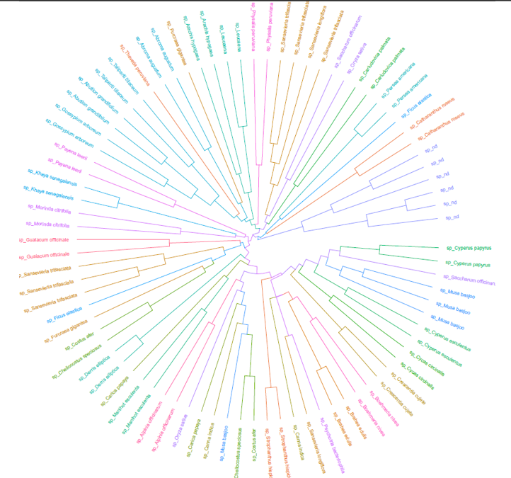 chemotaxonomic tree