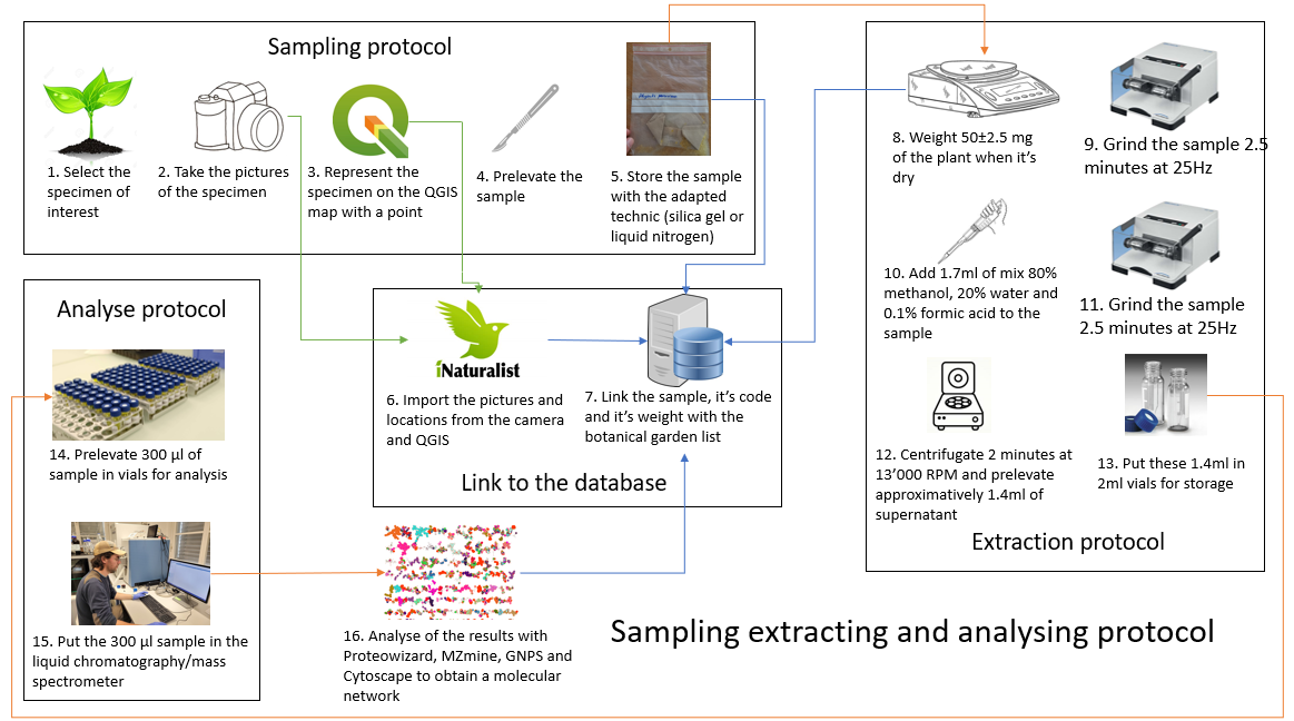 Project schema