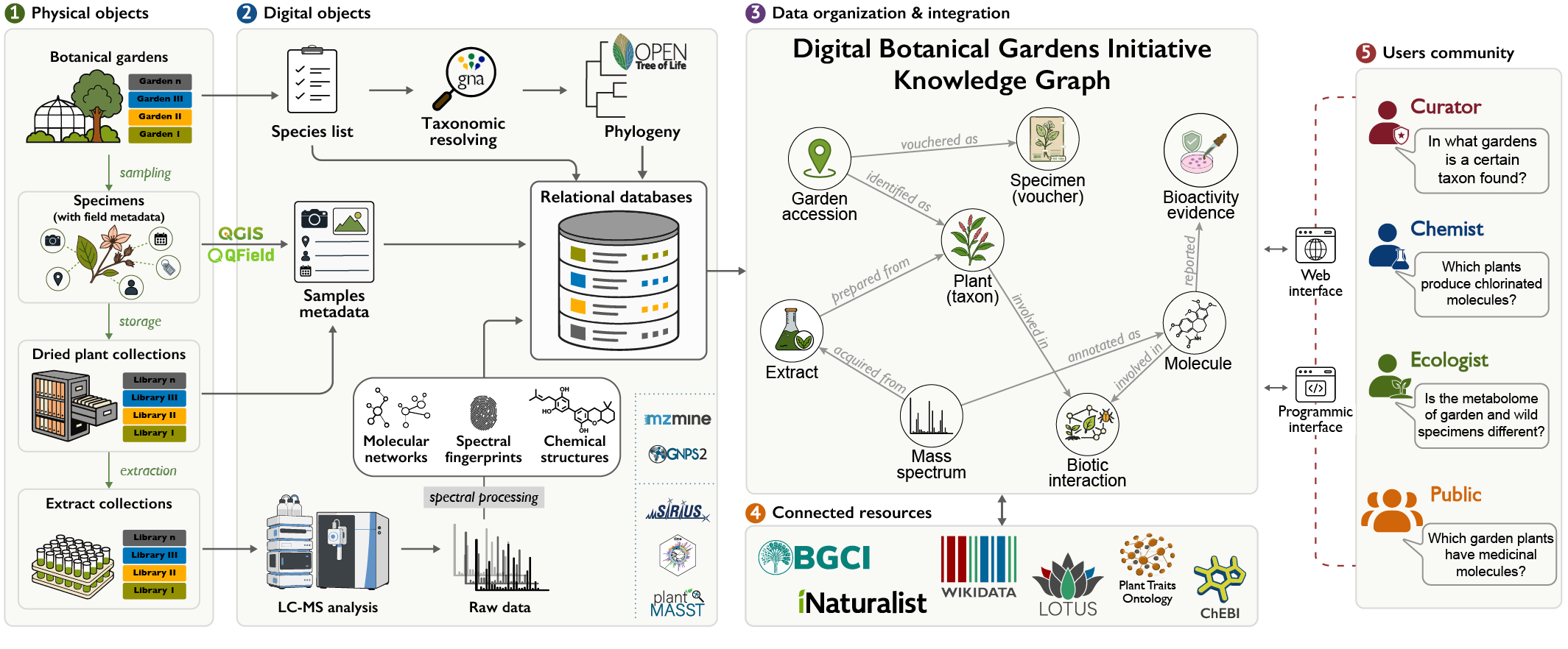 DBGI data flow: physical objects from botanical gardens become digital objects through sampling, LC-MS analysis and spectral processing, are integrated into the DBGI knowledge graph with connected resources, and are queried by curators, chemists, ecologists and the public.