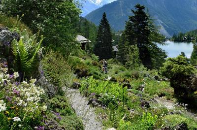 Alpine footpath through wildflowers at Flore-Alpe, Champex-Lac, with mountains and a lake in the background.