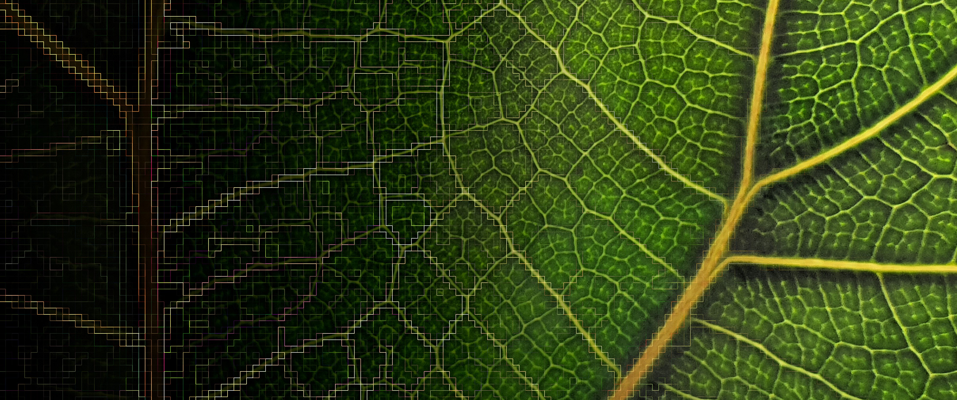 Postdoctoral researcher position - computational ecology, metabolomics and knowledge management for biodiversity research.